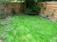 gras